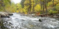 Ancient forests took 100,000 years to recover from the last global warming period similar to today – Wyoming fossils reveal what happened