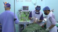 Health sector on Prophet's Birthday: Recalling values ​​of solidarity, journey to elevate humanity
