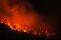 Fact File: Experts douse viral claim that wildfires caused by ‘weather manipulation’