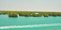 Iran oil spill: the war is leaving environmental scars that ceasefires cannot heal
