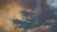 The lasting effects of Utah's wildfires: By the numbers