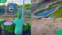 "This is not it": Mzansi roars with laughter at Nigerian zoo with fake animals