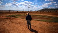 ‘Back to the 1960s’: Crushing telco reality for regional Australians
