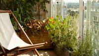 Balcony gardening: Sabrina Hahn’s tips for downsizers on how to grow plants in pots