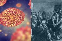 Mummy DNA exposes gruesome history of a deadly disease brought by colonists that ravaged early Americans