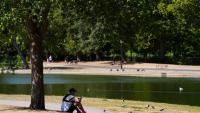 UK records hottest day of 2026 as temperatures hit 38.1C