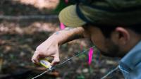 How many bears are there in CT? Here's what it takes to find out.