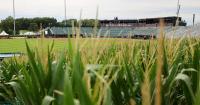 Twins, Phillies set for Field of Dreams match-up