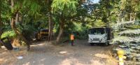 City crews clearing encampment behind West Seattle’s Home Depot