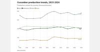 Strong growth of cucumbers in Italy and Germany, but declines in Romania and Poland