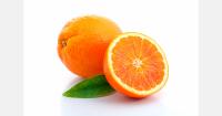 Panama approves the import of Argentine lemons, oranges, and grapefruits