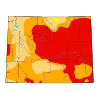 'Extreme drought,' record-breaking heat confront Wyoming ranchers with difficult choices