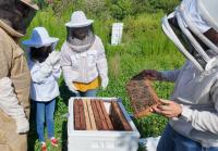 Coastal Connections: Frankford beekeeper grows hobby into thriving apiary focused on education and conservation