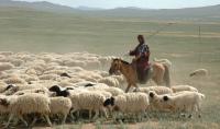 Pastoralists Are Protecting Many of the World’s Remaining Rangelands