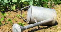 Drying wells and dwindling groundwater trouble more Czech communities