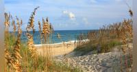APNEP grants support water quality, coastal resilience projects across North Carolina