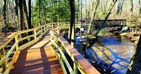 LiveWell, Barnes Nature Center win Age Well awards