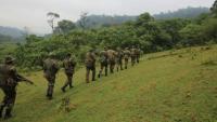 Kenya Forest Service investigates illegal logging in Saboti Forest Station as 350 trees cut down overnight