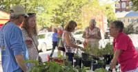 Kent County Master Gardeners announce annual plant sale