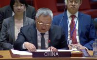 China at UN: “The lives of the Palestinian people are as precious as those of all other peoples”