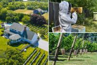New status symbol for Long Island’s elite: A home that grows wine, harvests honey and lays its own eggs