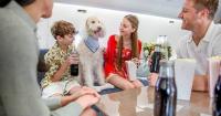 Why the World's Screen-Time Boom Is Fueling a $7.5 Trillion Hospitality Surge, And What It Means for How Families Reunite