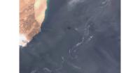 Oman Oil Spill Reaches Mainland Beaches, Threatening Marine Ecosystem