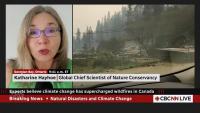 Climate change 'loading the dice' for extreme weather, says climate scientist
