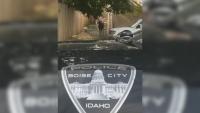 Boise Police Respond After Moose Wanders Into Downtown Boise