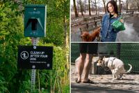 NYC will spend $180K to curb rampant dog poop problem
