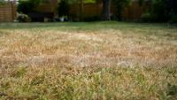Colorado homeowner blasts HOA after receiving threats for not watering lawn during drought