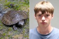 Iowa Man Faces Over 100 Charges Related to Capture, Sale of Protected Turtle Species