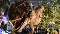 3 To Do: Art exhibits, improv on Marco Island; dinosaurs in Fort Myers