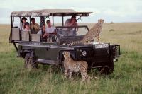 Visa Restrictions Push Nigerians to New Holiday Destinations