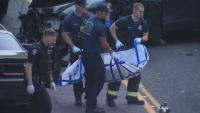 Robbery investigation led Seattle officers into ambush of gunfire, report says