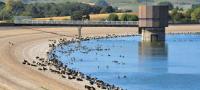 Britain and France swelter again