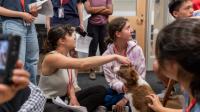 Through an SCE–4 H Partnership, New York Youth Gain Access to College Readiness Experiences at Cornell