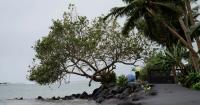 El Niño raises drought risk for Samoa