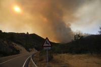 When the flames not only threaten people: the role of veterinarians in the face of large fires