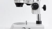 UH researcher helps create atlas of global viruses