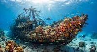 Florida Launches $15M ‘Coastal Corridor Project’ to Expand Nation-Leading Artificial Reef Network