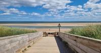 Picturesque Northumberland beach named one of best in UK for dog owners
