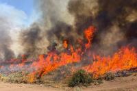 Arkansas Department of Agriculture designates all 75 counties at moderate wildfire risk, urges residents to use extreme caution