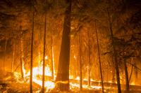 Oregon’s wildfire season blazes past all records, with no end in sight