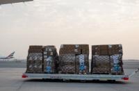 Dubai Humanitarian launches air bridge to deliver aid to Gaza