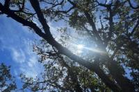 LETTER: Hard choices needed to save humanity from climate change