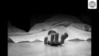Man found murdered with inside friend’s house in Sector 13