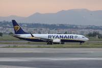 Bird remains found in engine of Ryanair plane where passenger was partially sucked through window