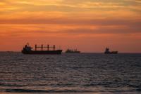 Ships stuck in the Strait of Hormuz region may be biosecurity risks