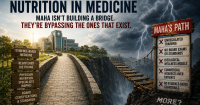 The Manufactured Void in Medical Nutrition